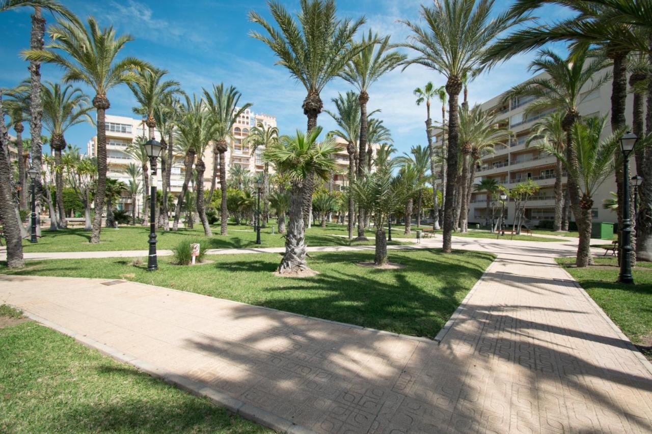 093 - Mil Palmeras Dream Torrevieja Exterior photo